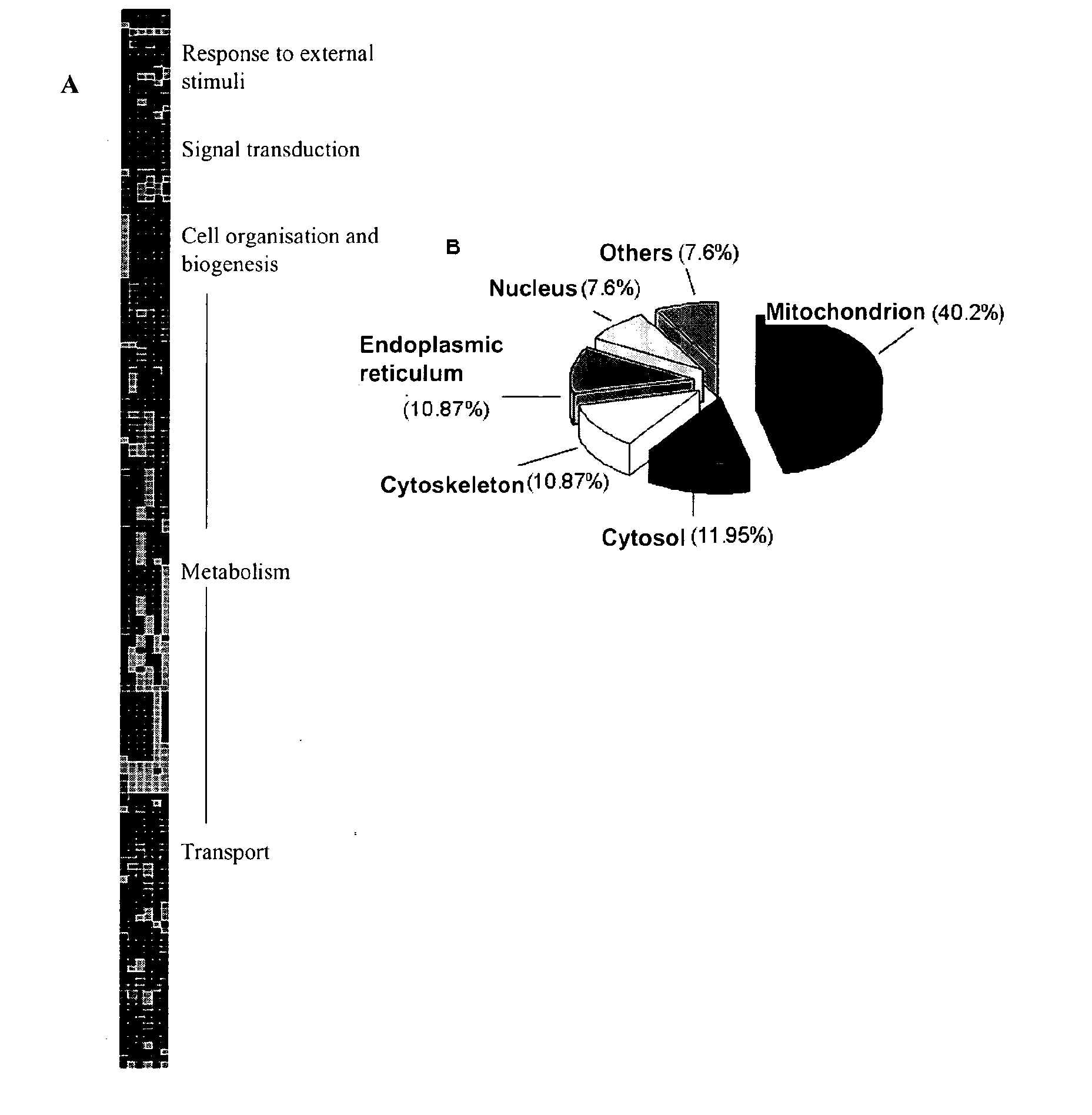 Molecular markers of hepatocellular carcinoma and their applications