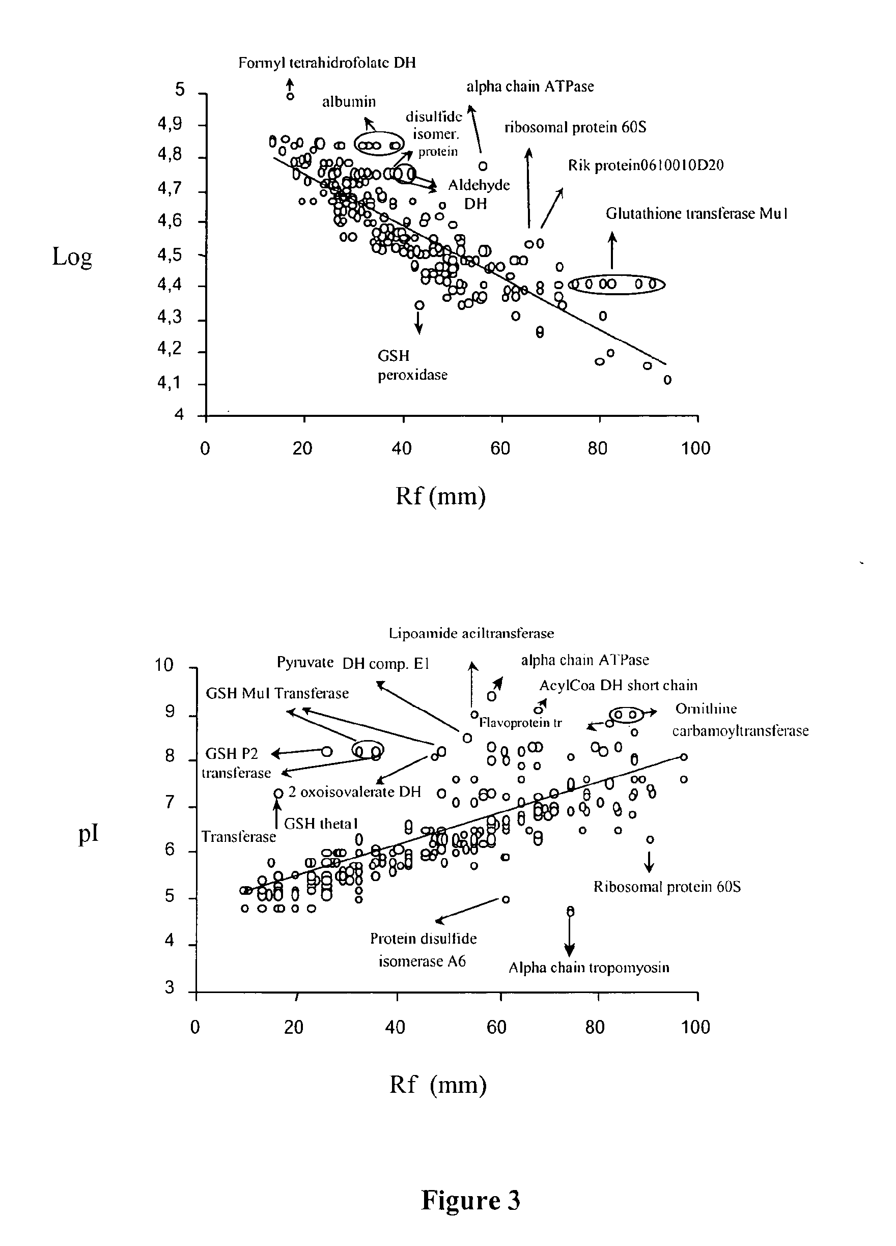 Molecular markers of hepatocellular carcinoma and their applications