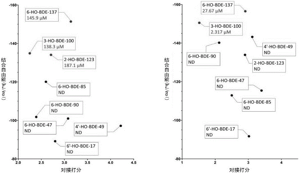 Thyroid hormone disruptor virtual screening and interference activity quantitative calculating method based on nuclear receptor coregulator