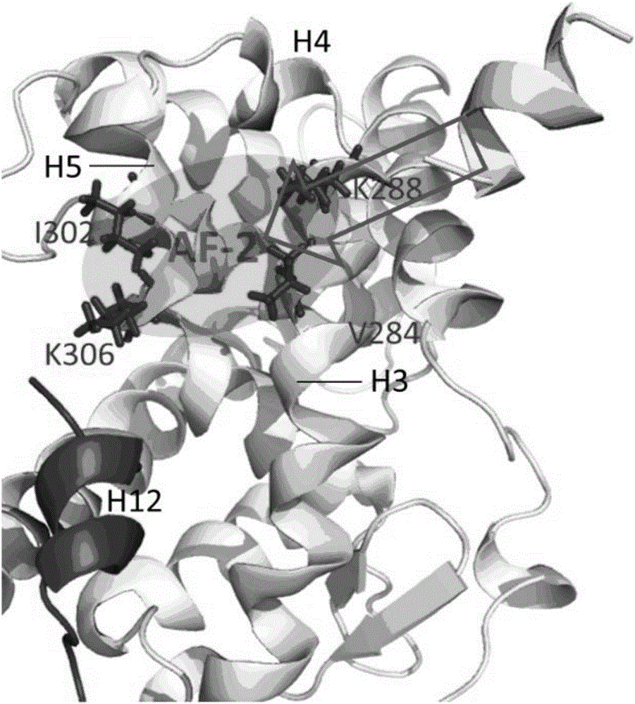 Thyroid hormone disruptor virtual screening and interference activity quantitative calculating method based on nuclear receptor coregulator