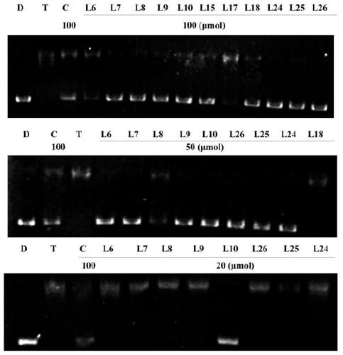 Preparation of a quinoline derivative and its application in anti-inflammation