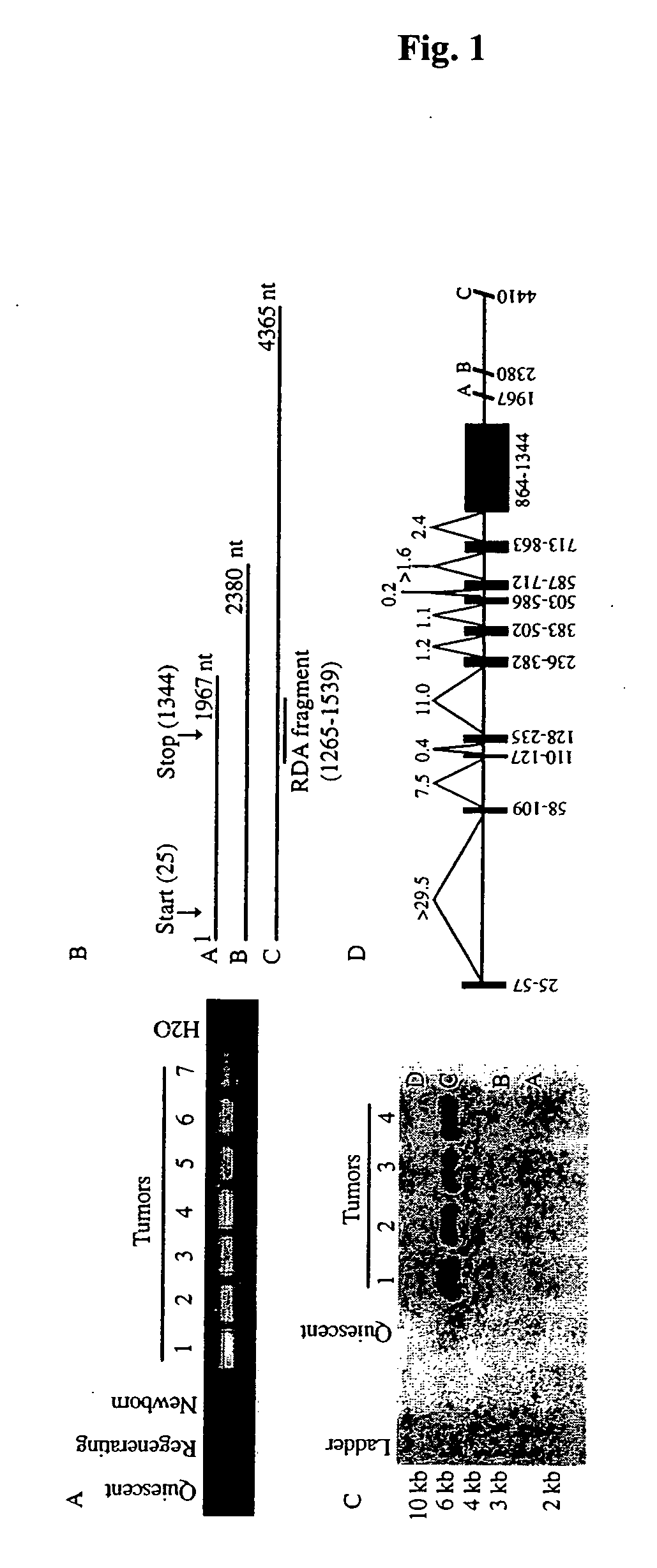 Liver tumor marker sequences