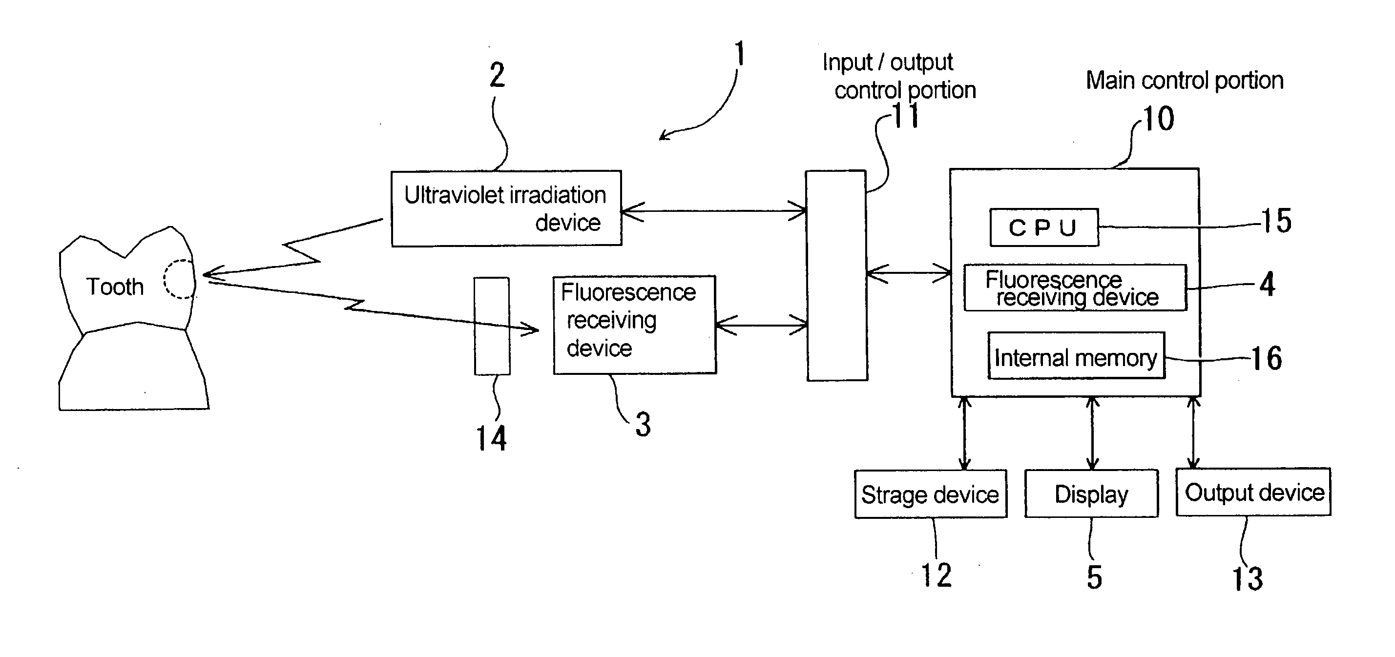 Carious tooth detection device