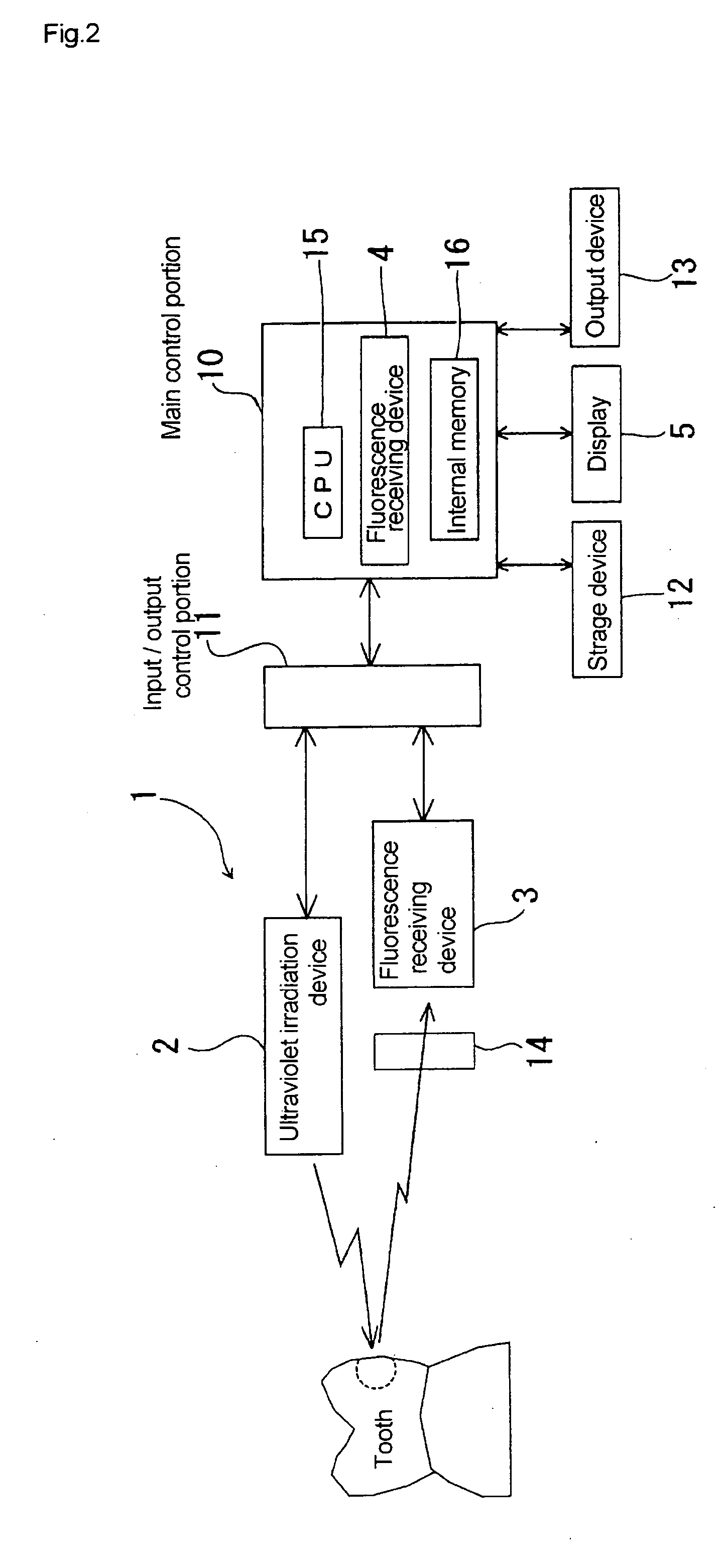 Carious tooth detection device