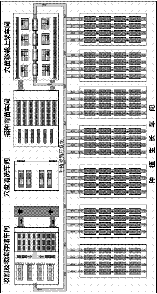 Automated vegetable planting and harvesting production line