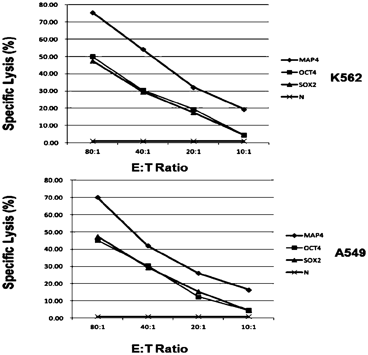 Four-branch polypeptide and application thereof