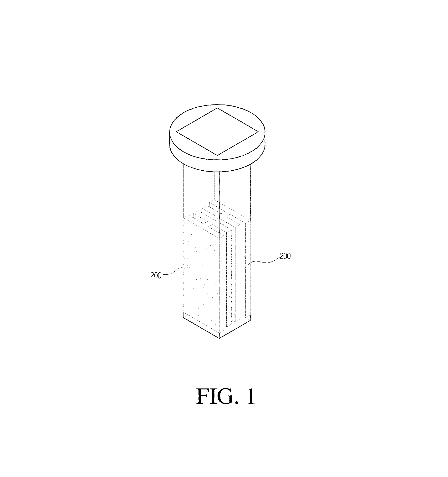 Electroporation apparatus having an elongated hollow member