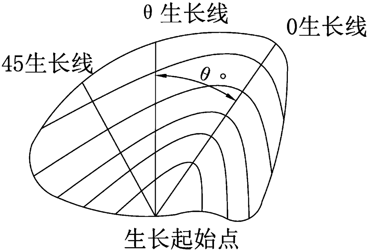 Preparation method of scanning electron microscope sample of bivalve shell