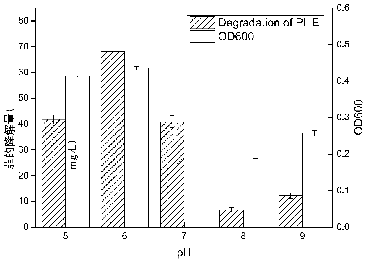 Strain for degrading phenanthrene and application thereof in soil remediation