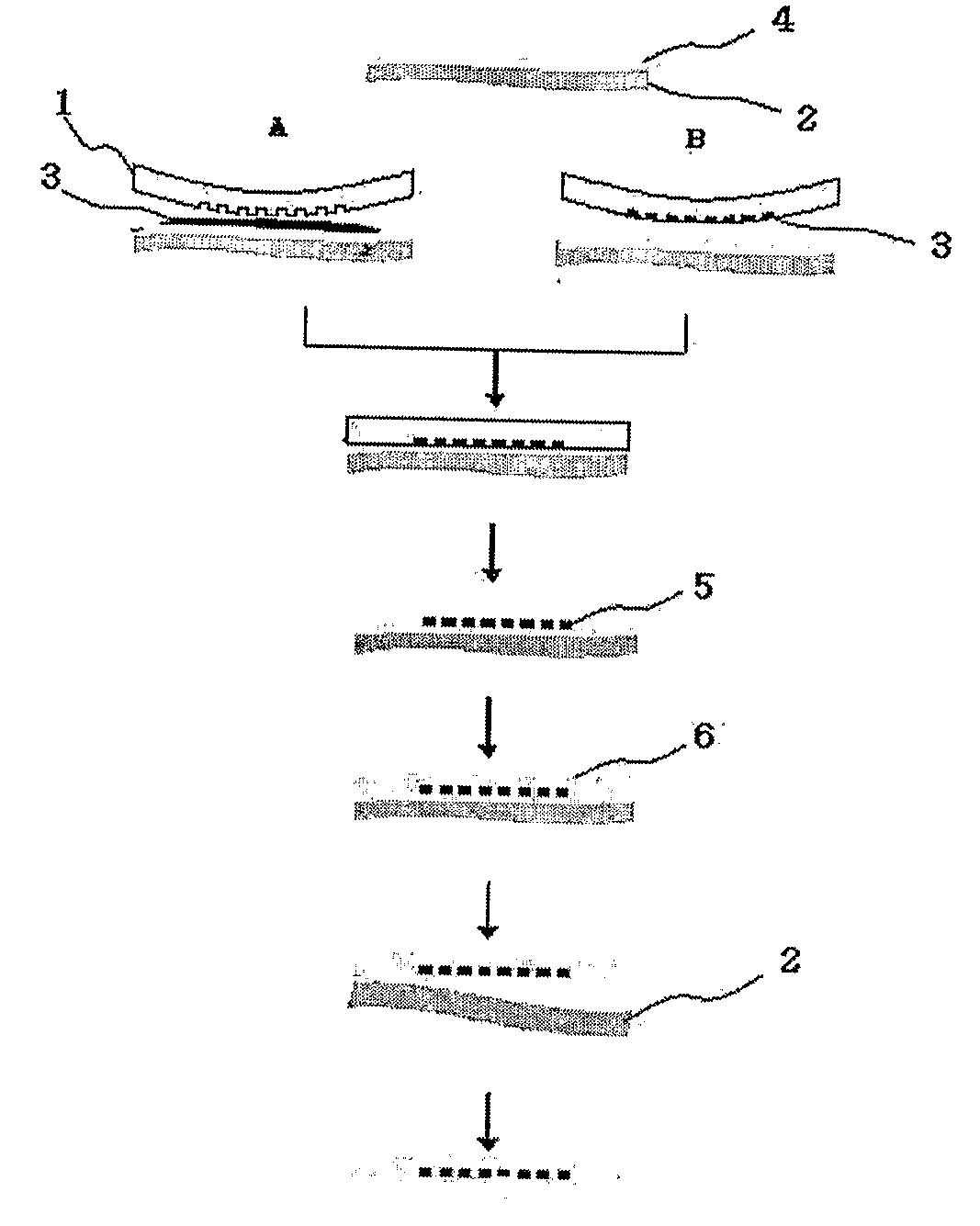 Flexible Film Optical Waveguide Using Organic-Inorganic Hybrid Material and Fabrication Method Thereof