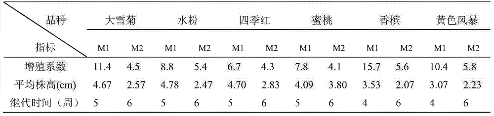 Tissue culture and rapid propagation culture medium for gerbera jamesonii and culture method thereof