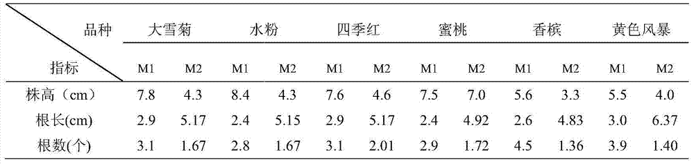 Tissue culture and rapid propagation culture medium for gerbera jamesonii and culture method thereof