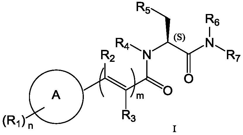 Amino acid derivative, preparation method and application thereof