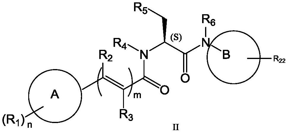 Amino acid derivative, preparation method and application thereof