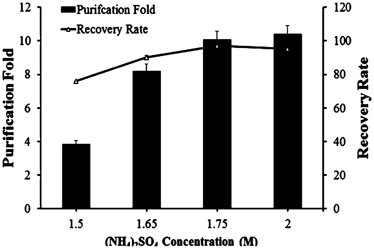 Recombinant beta-galactosidase and construction method and application thereof