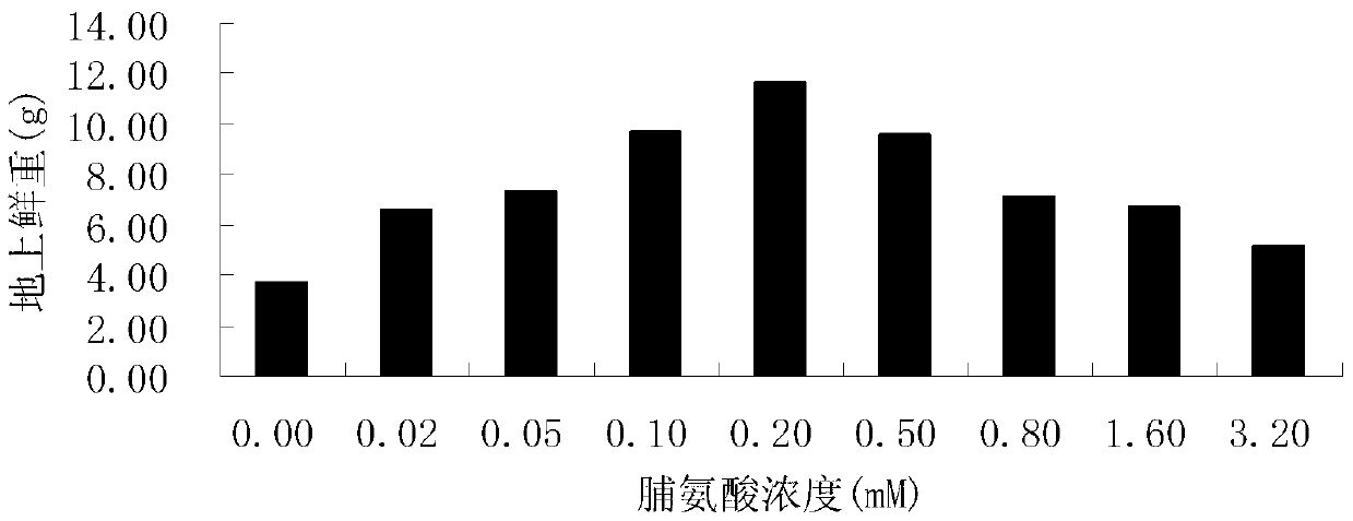 Method of improving salt resistance of bluegrass by using exogenous proline