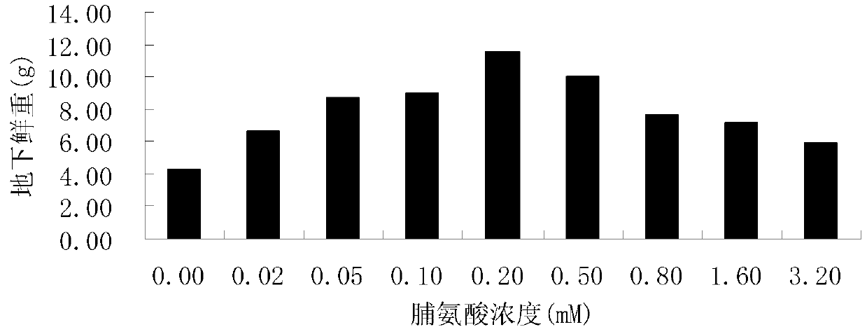 Method of improving salt resistance of bluegrass by using exogenous proline