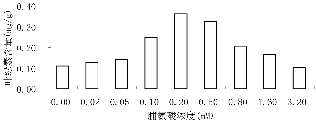 Method of improving salt resistance of bluegrass by using exogenous proline