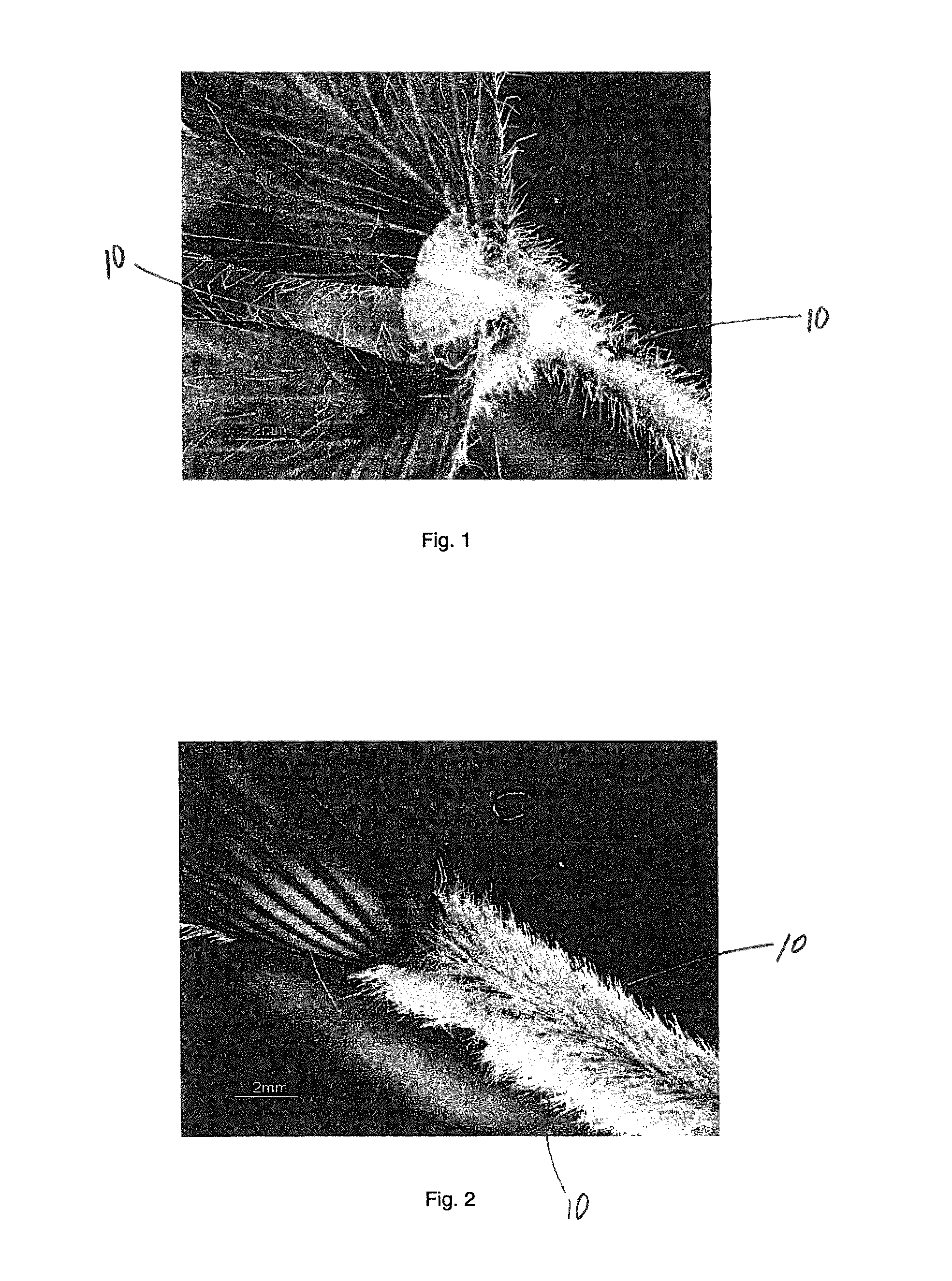 Soft and strong fibrous structures and methods for making same