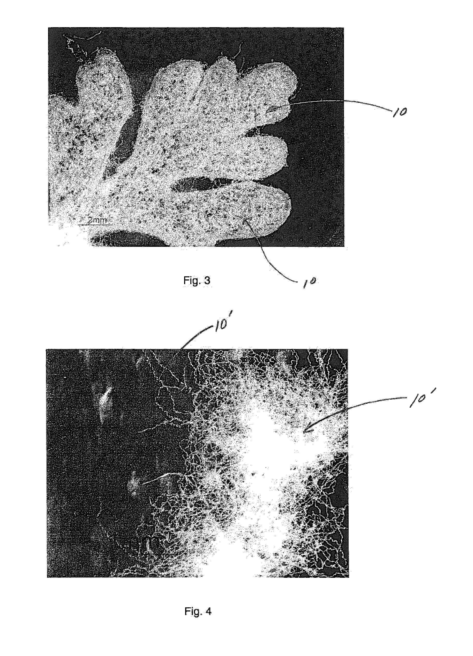 Soft and strong fibrous structures and methods for making same