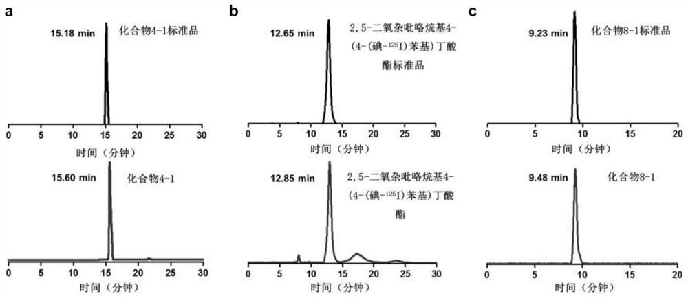 A radionuclide-labeled estrogen receptor molecular targeting compound and its application