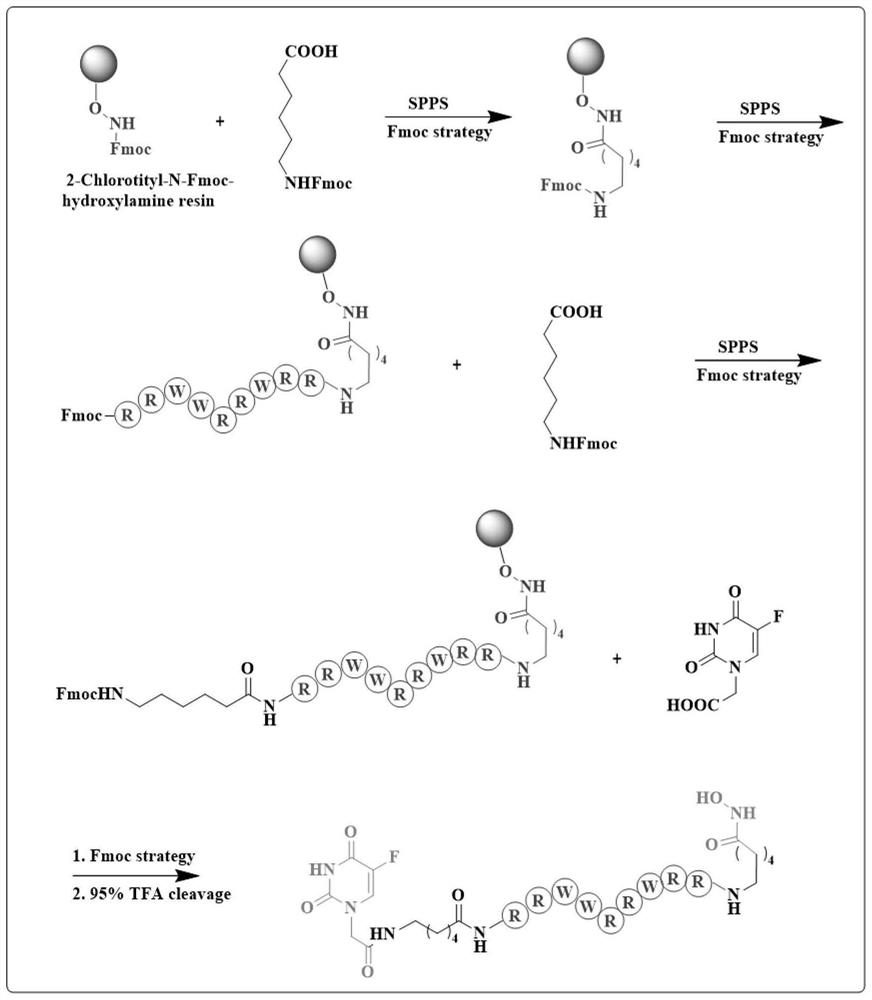 Polypeptide drug conjugate and nucleic acid drug self-assembled nanoparticle and application thereof