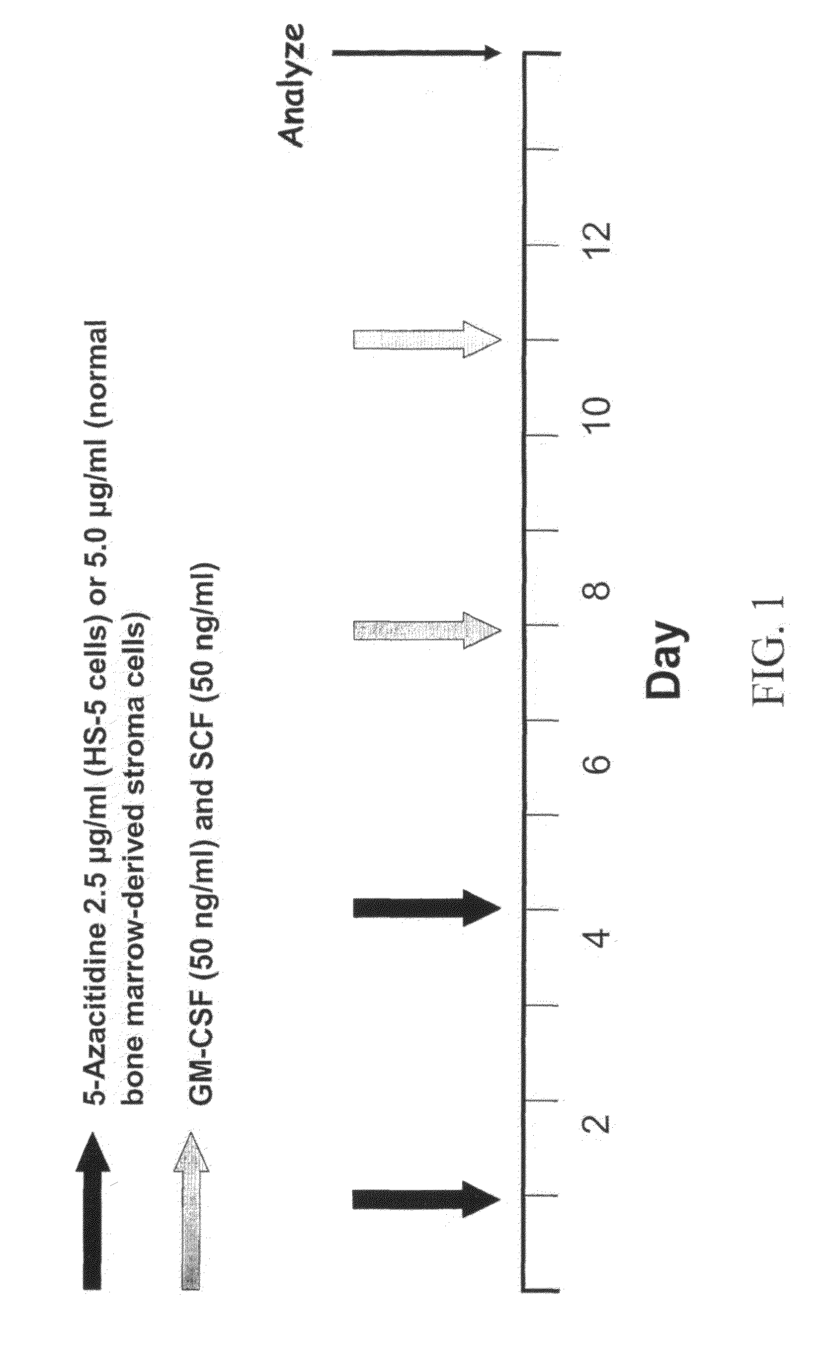 Methods for trans-differentiating cells