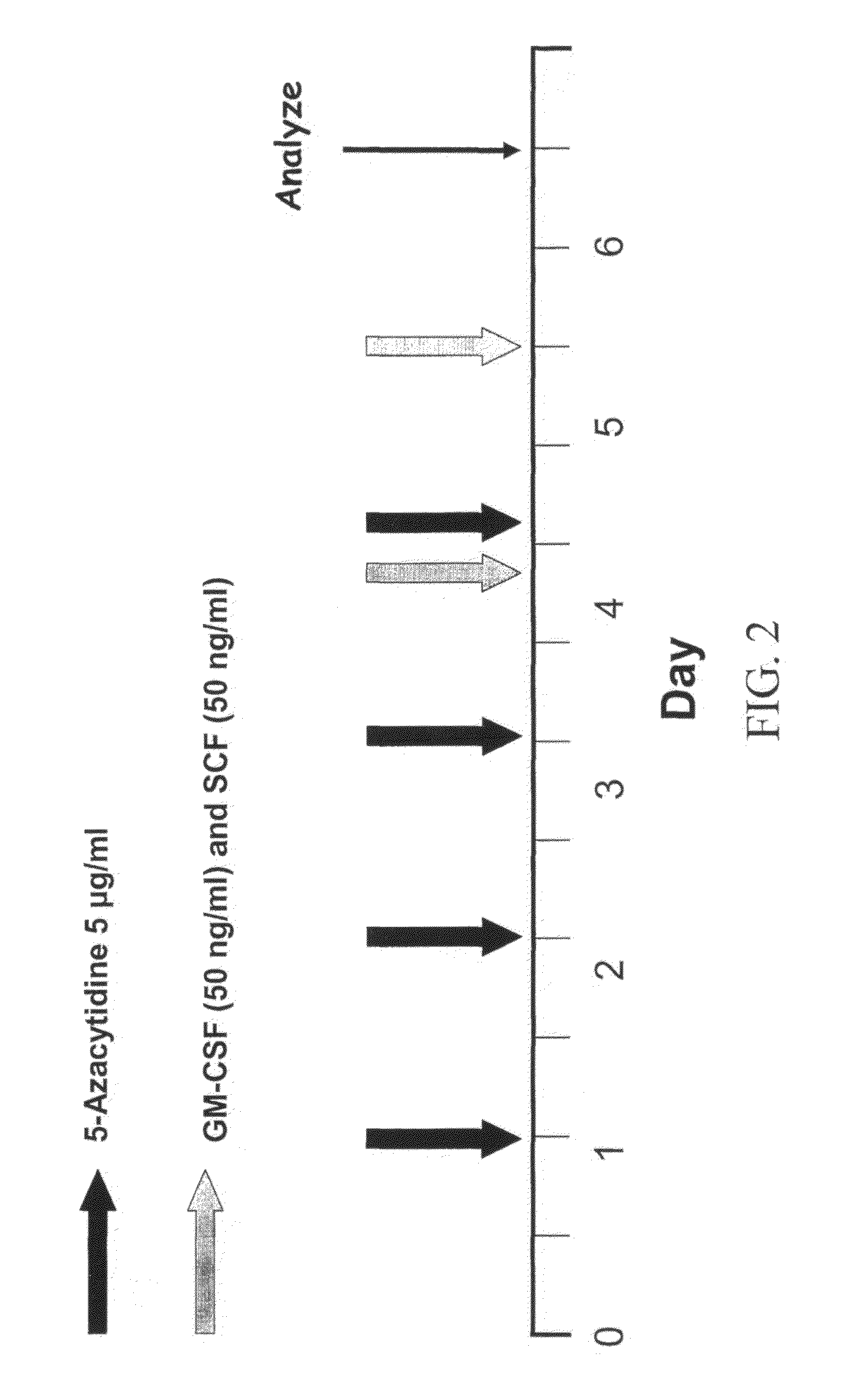 Methods for trans-differentiating cells