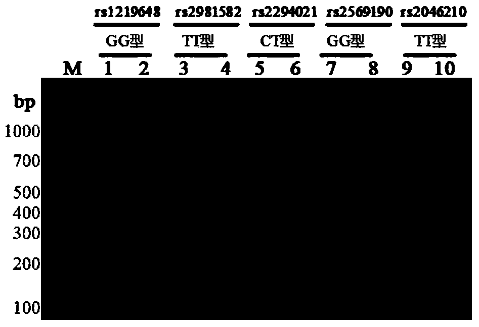 Rapid detection kit and detection method for breast cancer susceptibility genes