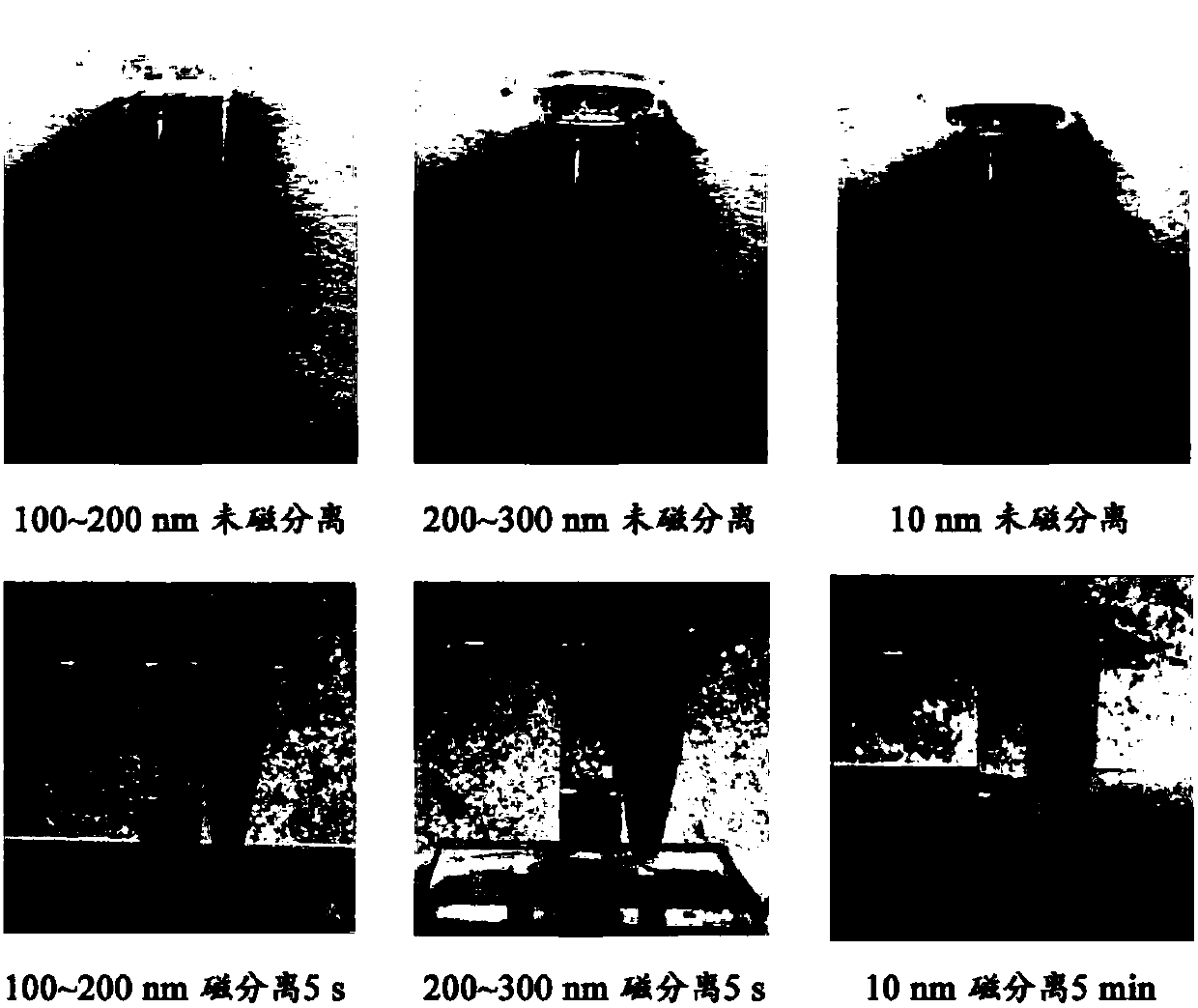 Method for rapid detection of Salmonella typhimurium based on photothermal effect of immunomagnetic nanomaterial