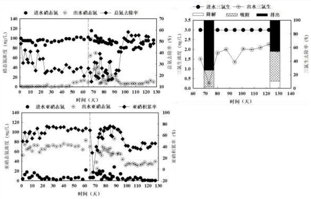 A method for simultaneous identification of short-range denitrifying bacteria and triclosan-degrading bacteria based on DNA stable isotope nucleic acid probe technology