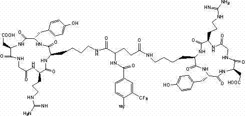 18f-e[c(rgdyk)2], medicine box for its automatic production, preparation method and application of medicine box