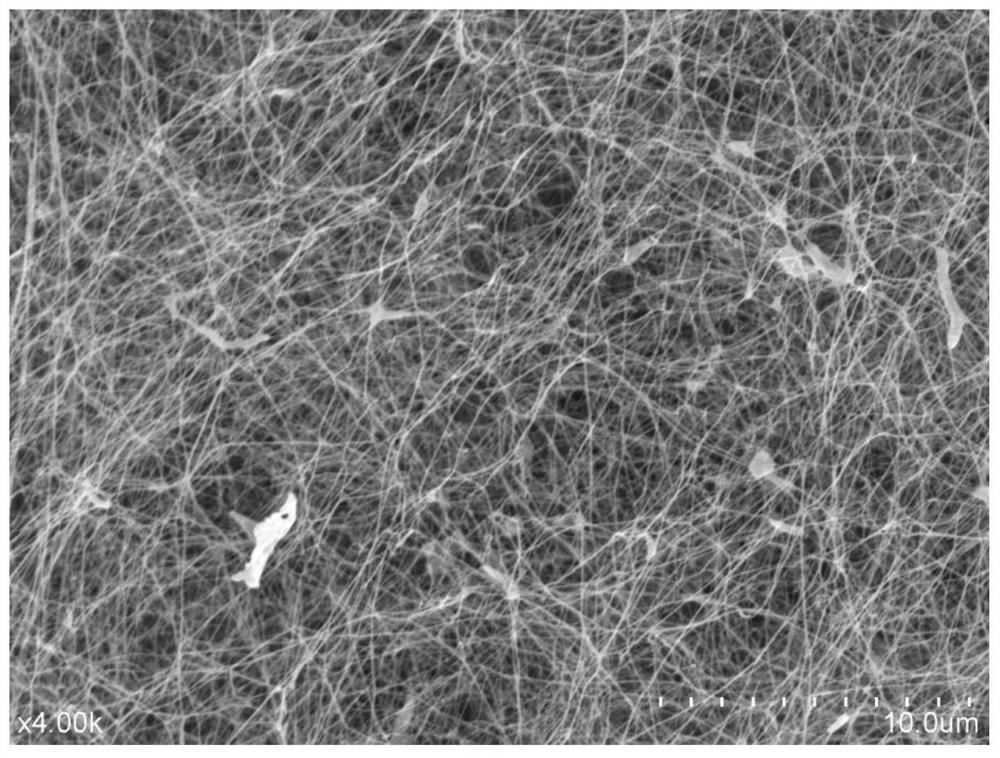 Preparation method of bacterial cellulose membrane for oil-water separation and with pore diameter adjusted by potato starch