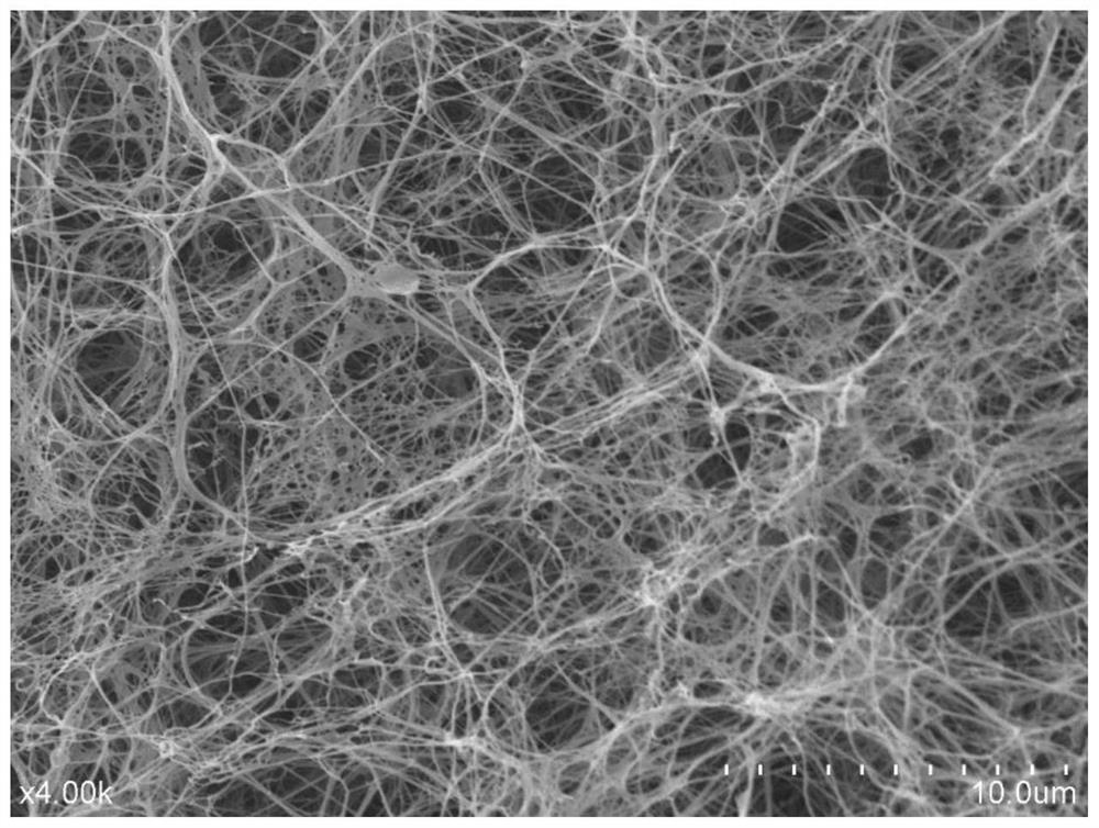 Preparation method of bacterial cellulose membrane for oil-water separation and with pore diameter adjusted by potato starch