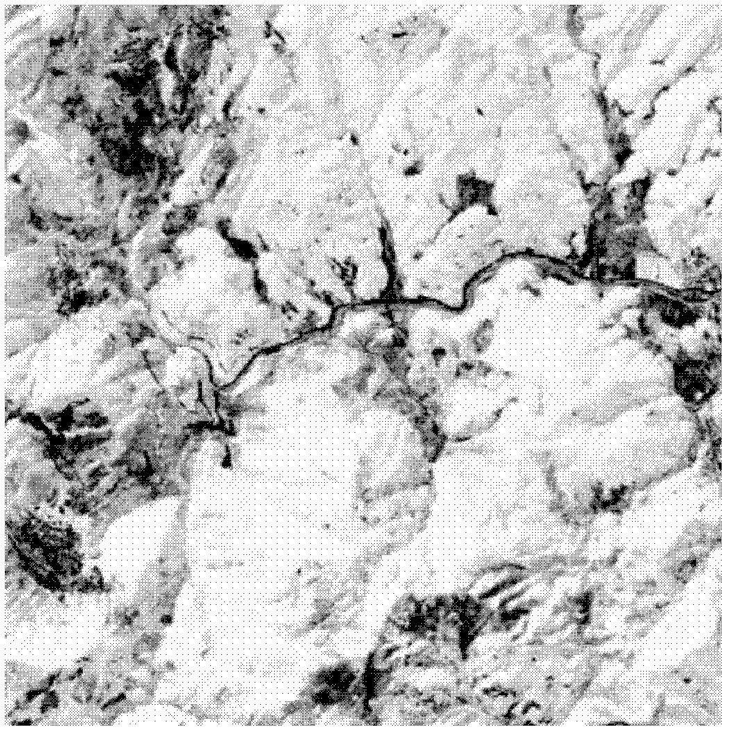 Method for automatically extracting information of bare area in slumped mass