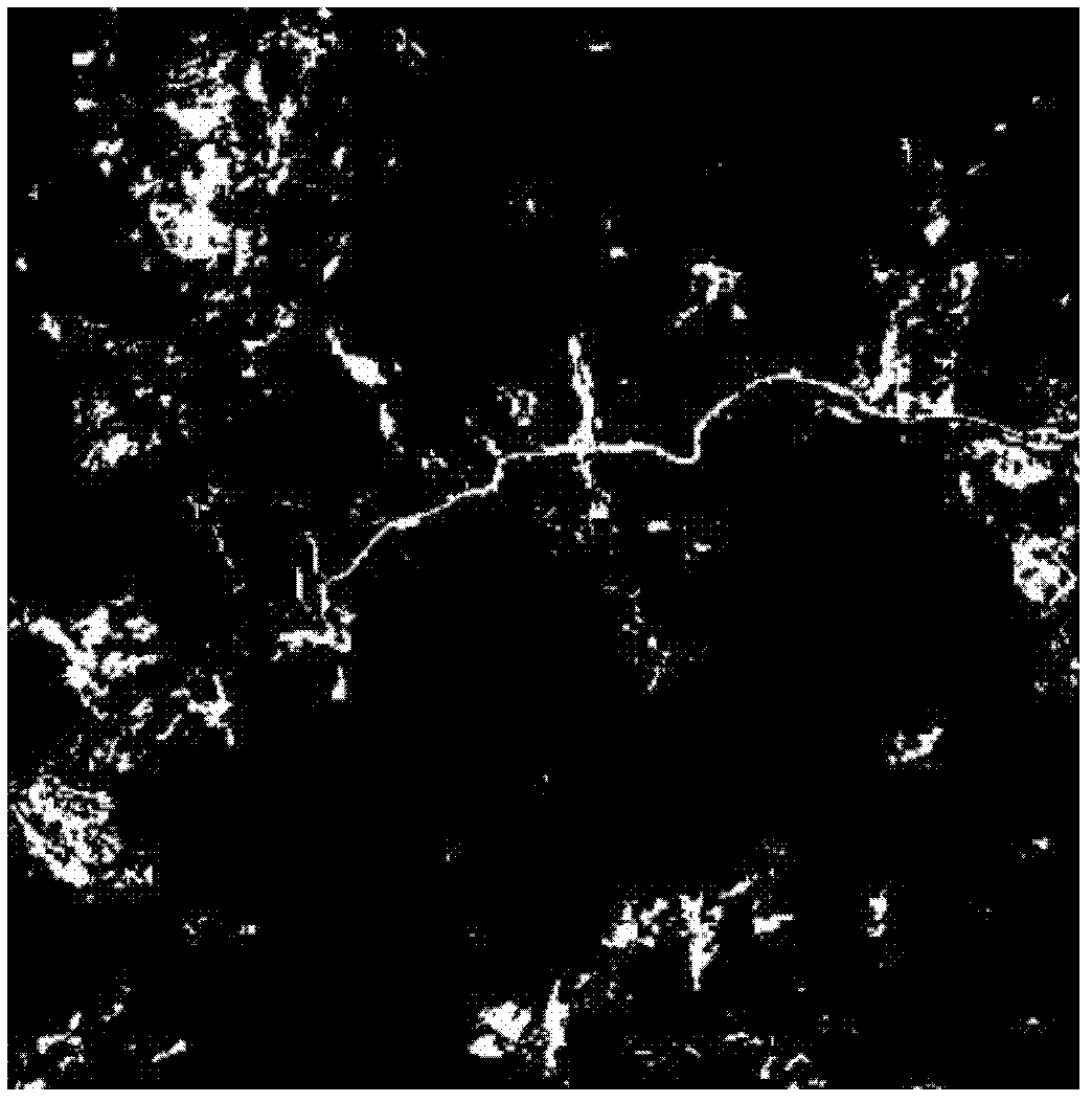 Method for automatically extracting information of bare area in slumped mass