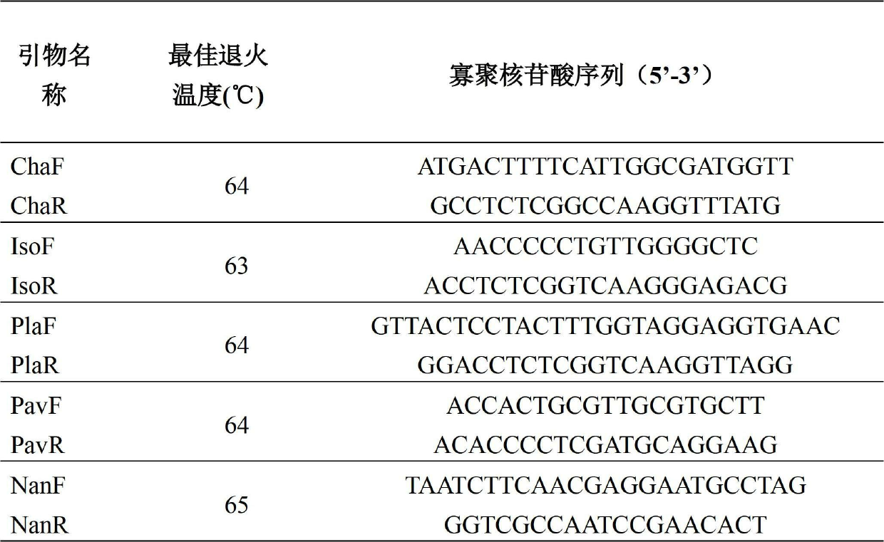 PCR (Polymerase Chain Reaction) primer group for distinguishing five types of shellfish bait microalgae