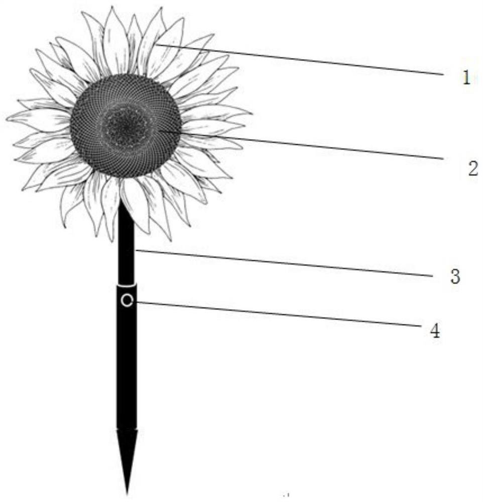 A device for luring and preventing adults of peach borer moth and its application