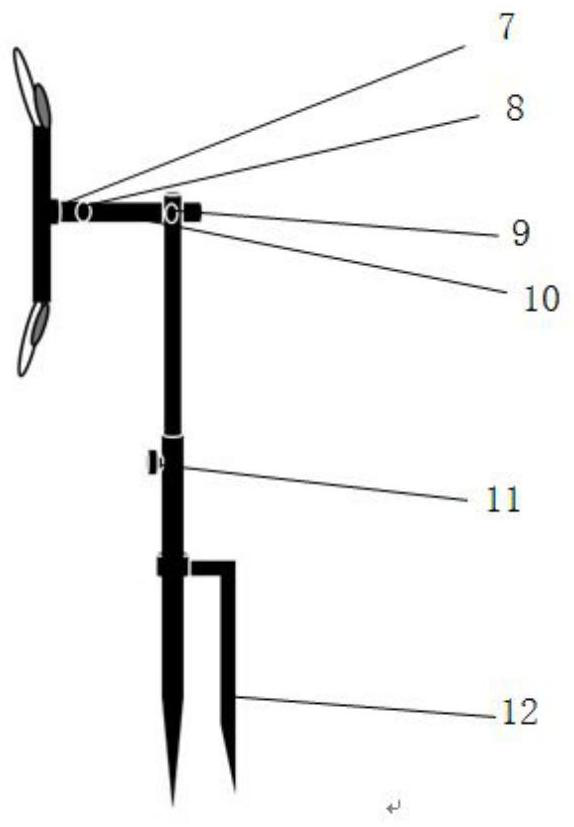 A device for luring and preventing adults of peach borer moth and its application