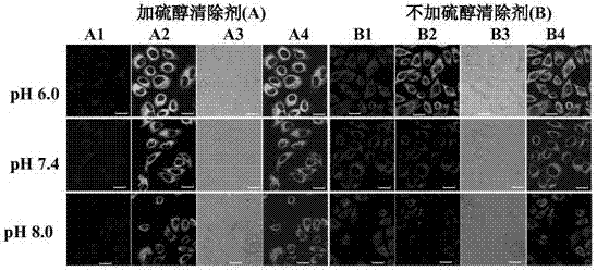 Multifunctional near infrared fluorescent probe and preparation method and application thereof