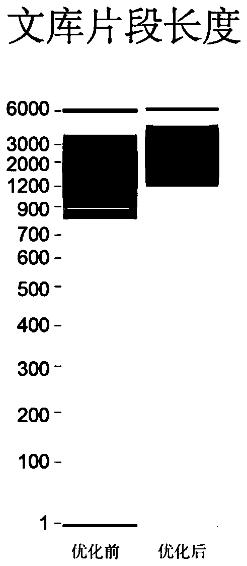 Single cell transcriptome sequencing method based on third-generation sequencing