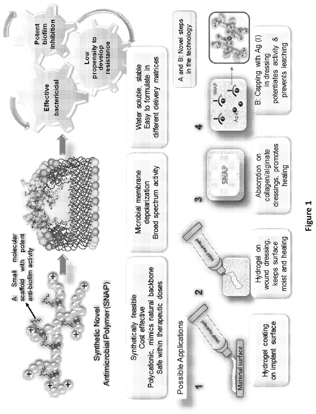 Compounds, compositions and methods related to antimicrobial applications