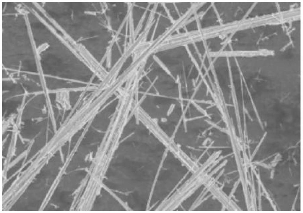 Water-based inorganic coating and preparation method thereof