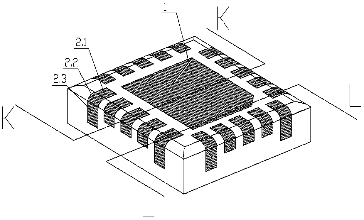 Electromagnetic shielding package structure with pin sidewall tin climbing function and its manufacturing process