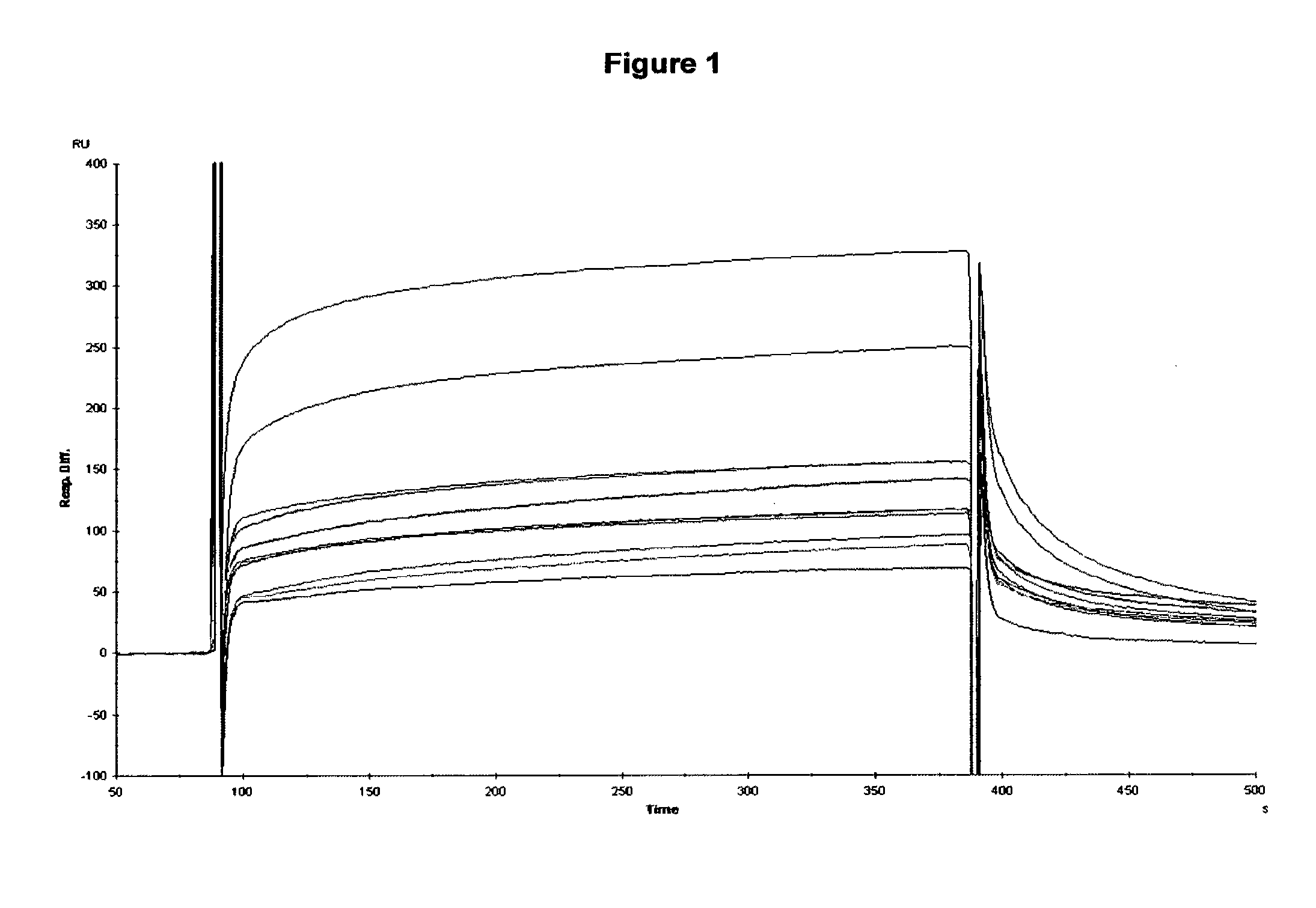 Anti P2X7 receptor antibodies and fragments thereof