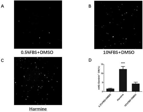 Pharmaceutical use of harmine