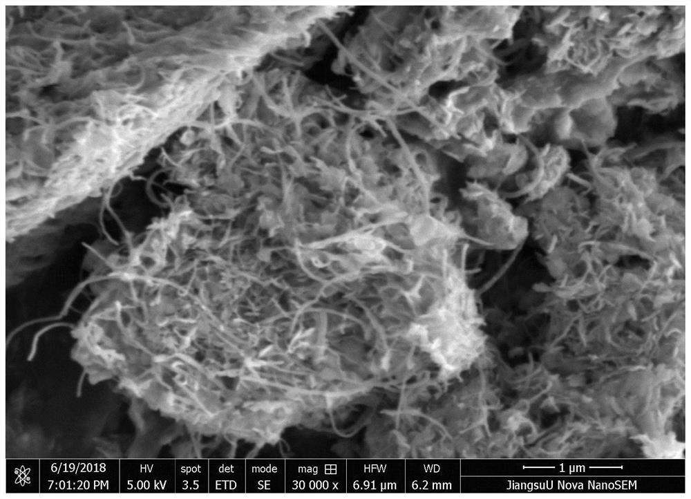 A flower-shaped molybdenum diselenide/carbon nanotube composite material and its synthesis method and application