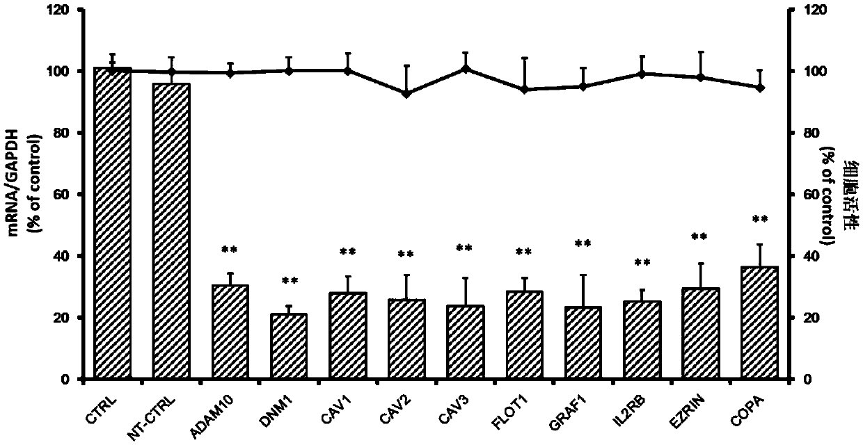 Application of dynamin 1 in prevention and treatment on enterovirus type 71 infection