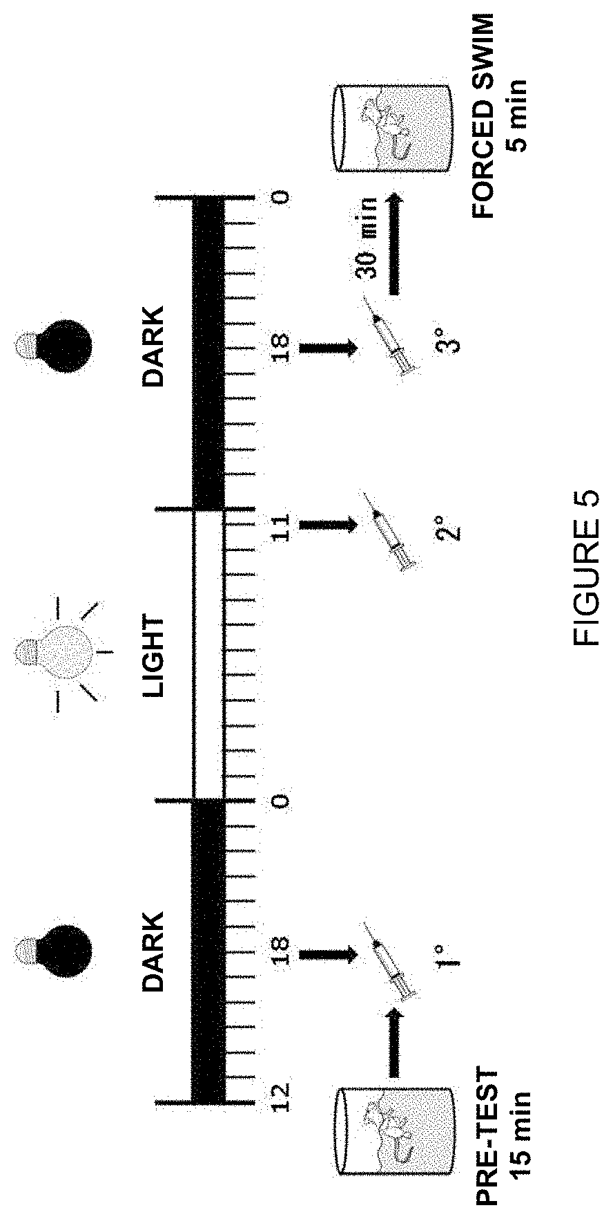 Pharmaceutical combination for mood disorders