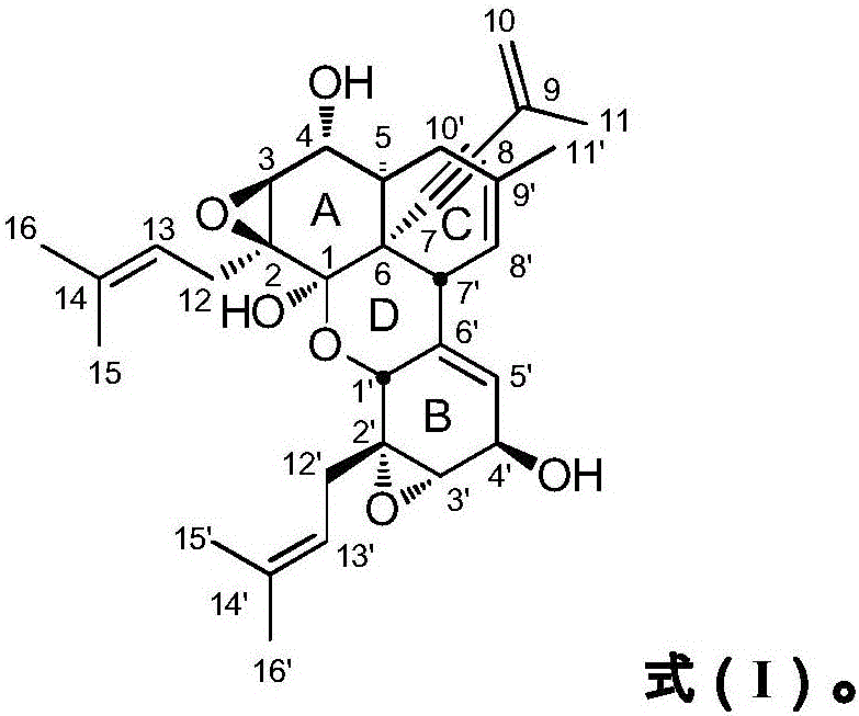 Bis-poly(Biscogniauxia-enyne) A and application thereof in preparation of drugs for preventing and treating neurodegenerative diseases